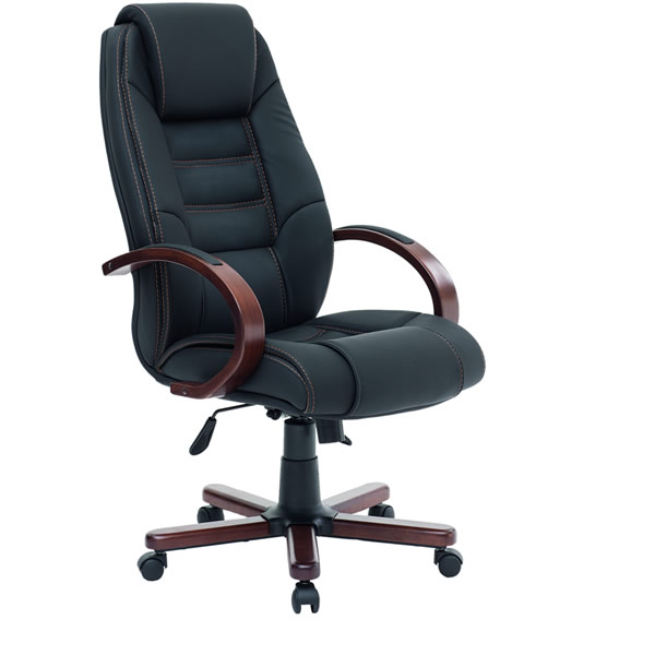 BİOTA MÜDÜR KOLTUĞU BİO804