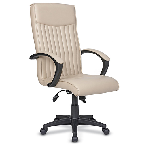 DESNİ MÜDÜR KOLTUĞU DSN2120